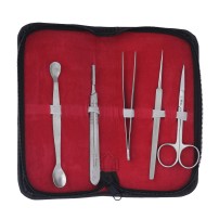 Hilton Surgical Box Instrument (5 Pieces)