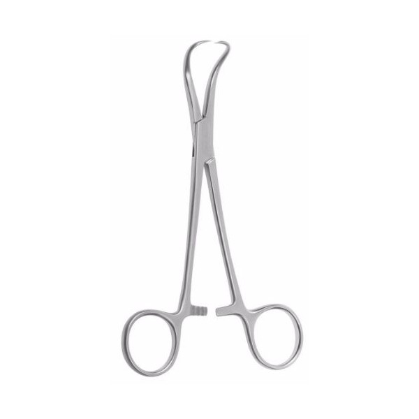 Hilton Instruments Hilton Towel Clip Instrument 14 cm